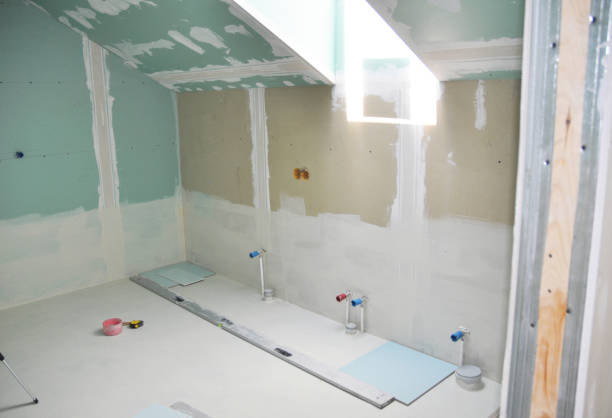 Best Attic Mold Removal  in Maroa, IL