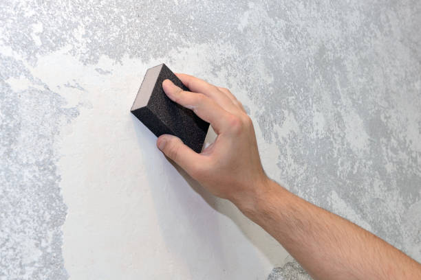 Best Environmental Consulting for Mold Prevention  in Maroa, IL