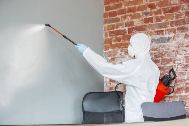 Asbestos and Lead Testing During Mold Inspection in Maroa, IL
