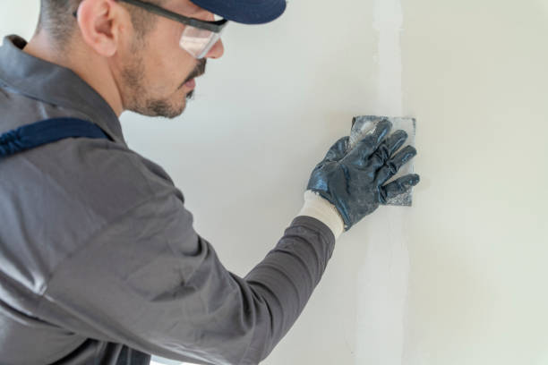 Best Emergency Mold Remediation  in Maroa, IL