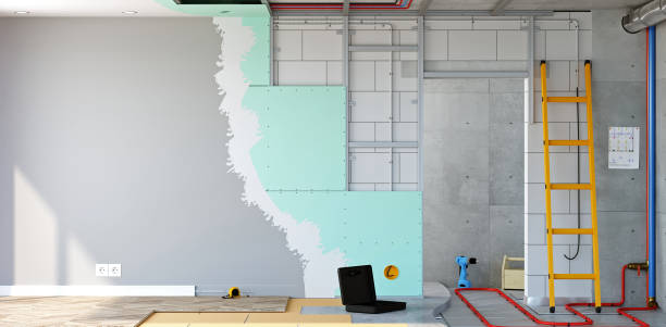 Best Asbestos and Lead Testing During Mold Inspection  in Maroa, IL