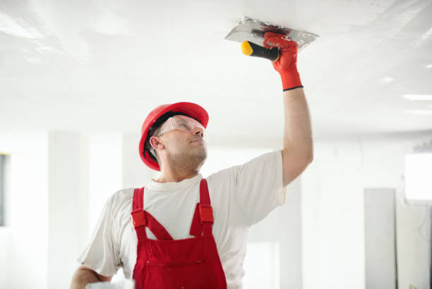 Best Flood Damage  in Maroa, IL