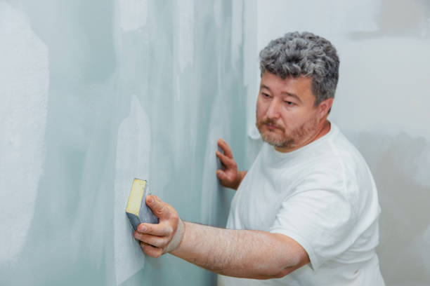 Best Mold Odor Removal Services  in Maroa, IL